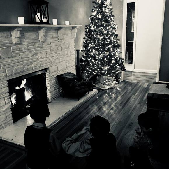 Meet your Posher, Griselda - Picture 1 of 1